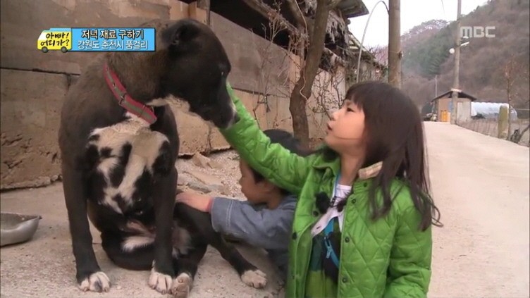 [아빠어디가] 생애 첫 미션을 받은 민율이 자세.jpg | 인스티즈