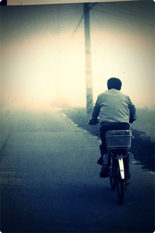 딴지 일보 김총수의 틈새 논평, 노무현 영결식 결정적 장면들 | 인스티즈