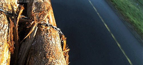 당신은 죽음을 피할 수 없다, 영화 "파이널 데스티네이션" | 인스티즈