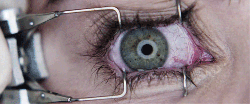 당신은 죽음을 피할 수 없다, 영화 "파이널 데스티네이션" | 인스티즈