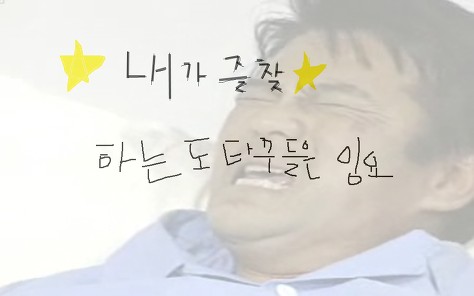 얍얍이 방송중에 야동 | 인스티즈