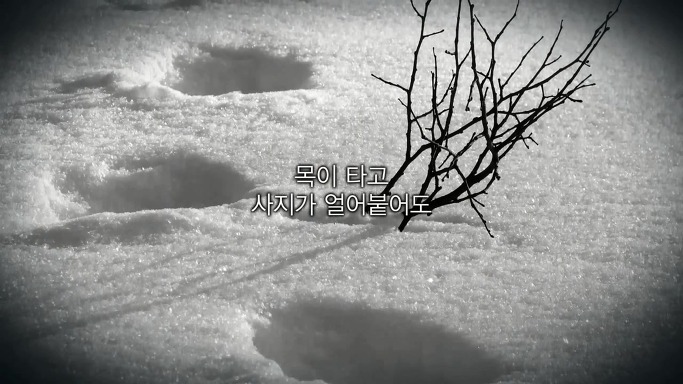 이분을 잊는다면 우리는 역사의 죄인이 될 것입니다 | 인스티즈