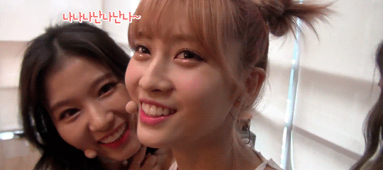 인터뷰하는 모모 귀찮게 하는 시바견~♥ + 영상 추가 | 인스티즈