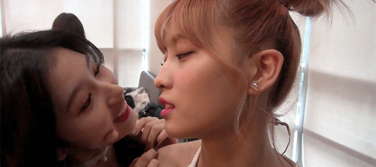 인터뷰하는 모모 귀찮게 하는 시바견~♥ + 영상 추가 | 인스티즈