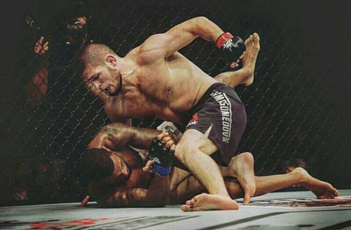 코너맥그리거가 라이트급 방어전을 치르게될 선수 중 한명 | 인스티즈