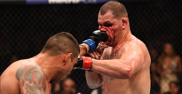 이사람 싸움실력이면 한국+일본 전체인구중에서 10등안에들수있나요?? | 인스티즈