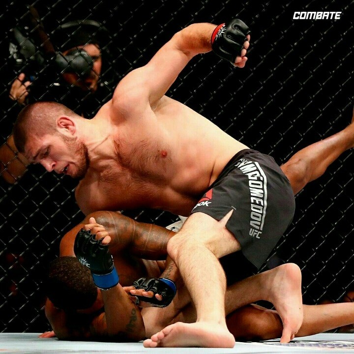 마존에게 기권하라고 하는 하빕 | 인스티즈