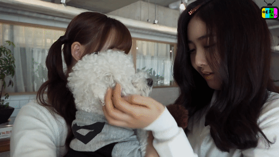 여자친구란 그룹을 처음으로 알린 프로그램 | 인스티즈