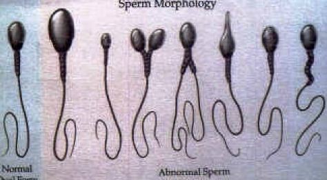 남자들이 여자들한테 담배피지 말라고 하는 이유 | 인스티즈