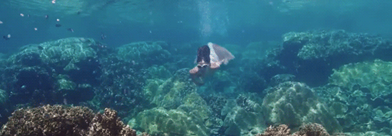 [푸른바다의전설] 전지현 수중 촬영영상 | 인스티즈