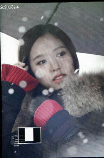 161126 첫눈 오던날 미나리~^____^ | 인스티즈