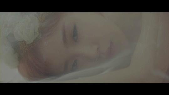 어떤 트위터인 때문에 물만두가 되어버린 가인ㅋㅋ(feat.백숙).jpg | 인스티즈