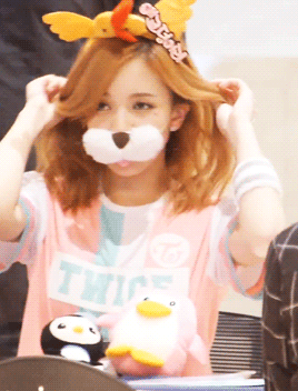 아야 하니까 멈춘 강아지.gif | 인스티즈