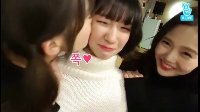 비니에게 뽀뽀하는 아린이.swf | 인스티즈