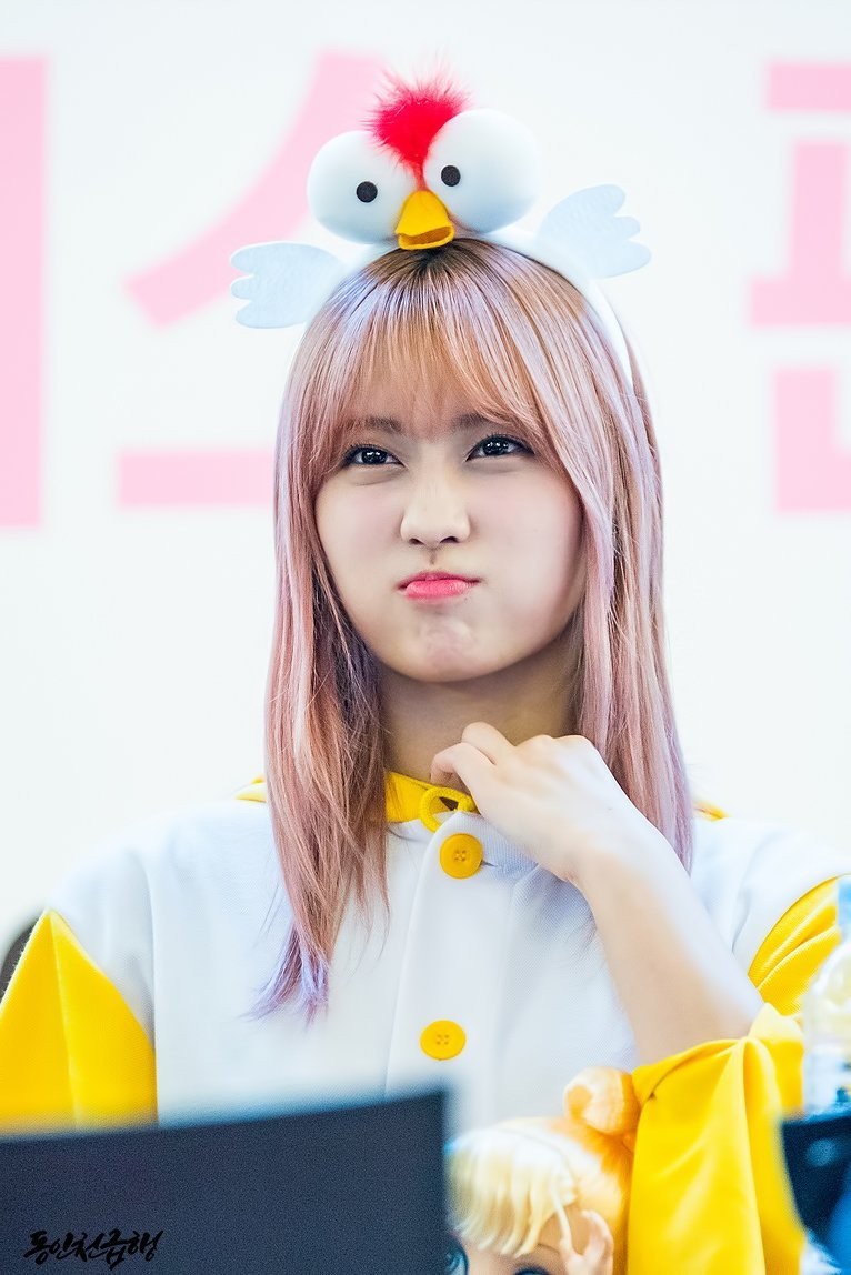 [트와이스] 팬들 챙기면서 이름 가지고 장난치는 나연이랑 모모 다현이 | 인스티즈