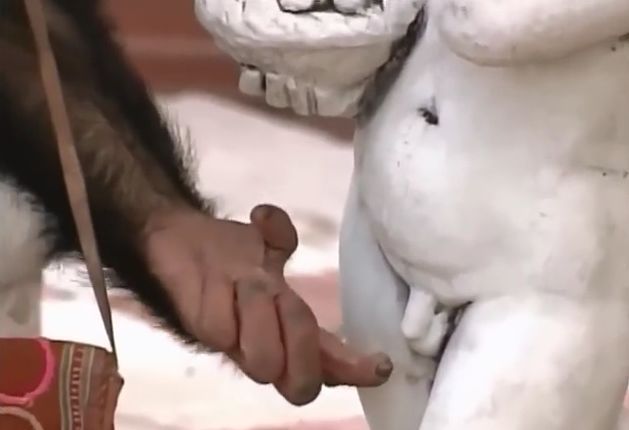 만약 원숭이와 강아지가 심부름으로 쇼핑을 다녀온다면? 2 | 인스티즈