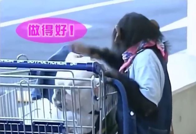 만약 원숭이와 강아지가 심부름으로 쇼핑을 다녀온다면? 1 | 인스티즈