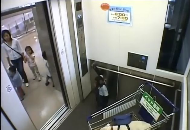 만약 원숭이와 강아지가 심부름으로 쇼핑을 다녀온다면? 2 | 인스티즈