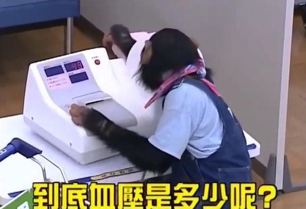 만약 원숭이와 강아지가 심부름으로 쇼핑을 다녀온다면? 2 | 인스티즈