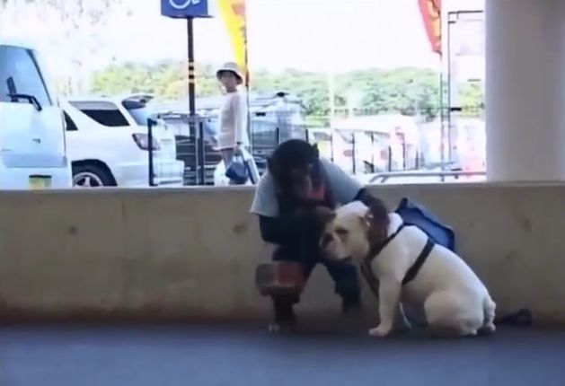 만약 원숭이와 강아지가 심부름으로 쇼핑을 다녀온다면? 1 | 인스티즈