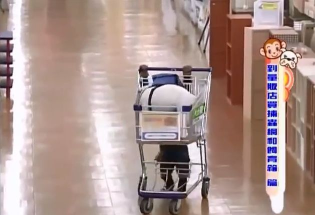 만약 원숭이와 강아지가 심부름으로 쇼핑을 다녀온다면? 1 | 인스티즈