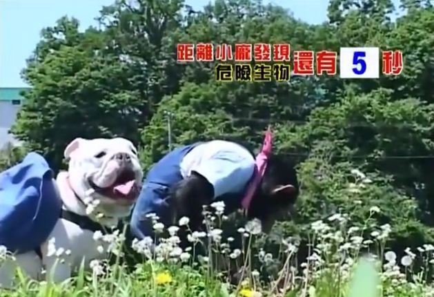 만약 원숭이와 강아지가 심부름으로 쇼핑을 다녀온다면? 1 | 인스티즈