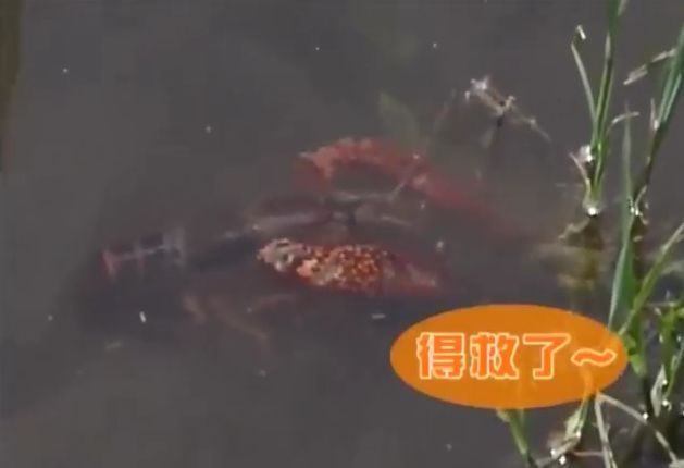 만약 원숭이와 강아지가 심부름으로 쇼핑을 다녀온다면? 1 | 인스티즈