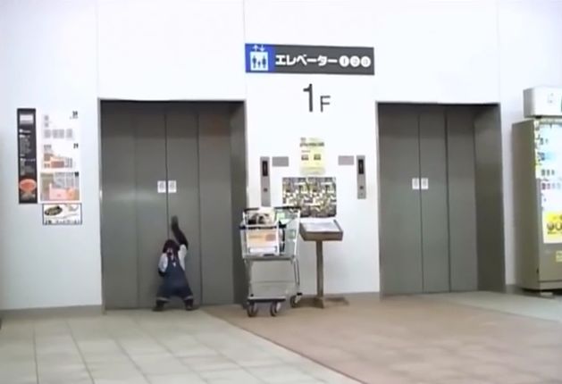 만약 원숭이와 강아지가 심부름으로 쇼핑을 다녀온다면? 2 | 인스티즈