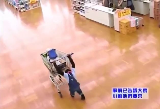 만약 원숭이와 강아지가 심부름으로 쇼핑을 다녀온다면? 1 | 인스티즈