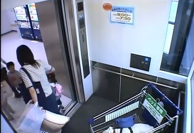 만약 원숭이와 강아지가 심부름으로 쇼핑을 다녀온다면? 2 | 인스티즈