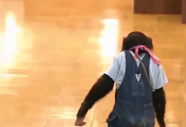 만약 원숭이와 강아지가 심부름으로 쇼핑을 다녀온다면? 2 | 인스티즈