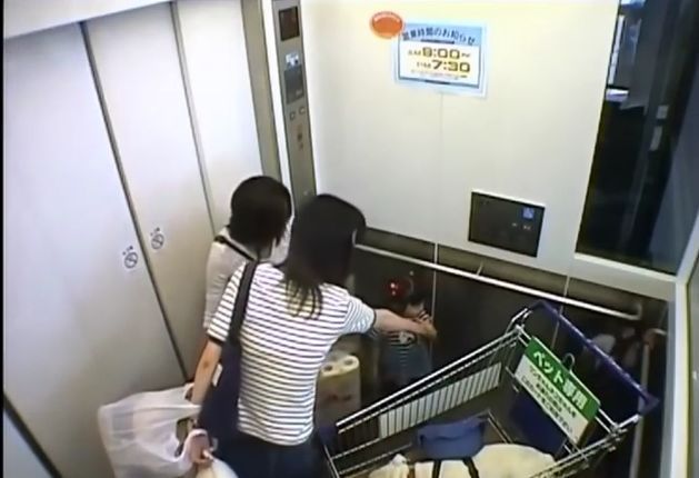 만약 원숭이와 강아지가 심부름으로 쇼핑을 다녀온다면? 2 | 인스티즈