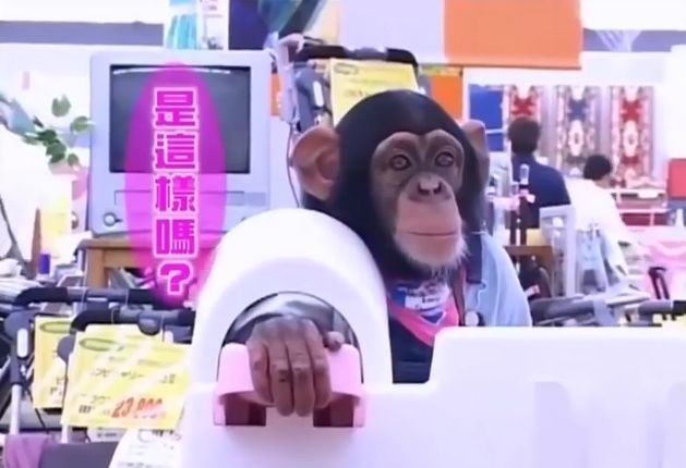 만약 원숭이와 강아지가 심부름으로 쇼핑을 다녀온다면? 2 | 인스티즈