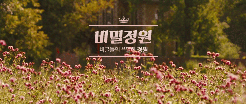 포도는 영어로 그레이프입니다. 건포도는 영어로 뭘까요? | 인스티즈