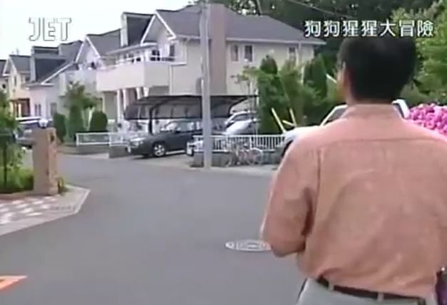 만약 원숭이와 강아지가 심부름으로 쇼핑을 다녀온다면? 마지막 | 인스티즈