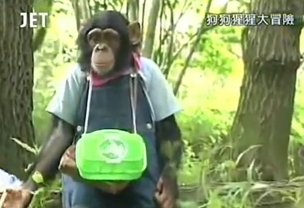 만약 원숭이와 강아지가 심부름으로 쇼핑을 다녀온다면? 마지막 | 인스티즈