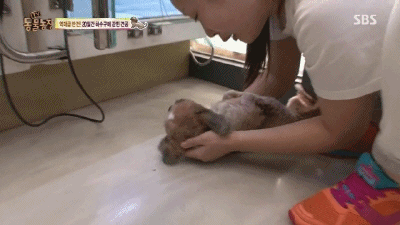 강아지가 잃어버린 주인을 다시 만났을 때.swf | 인스티즈