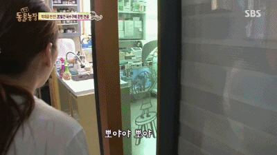 강아지가 잃어버린 주인을 다시 만났을 때.swf | 인스티즈