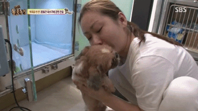 강아지가 잃어버린 주인을 다시 만났을 때.swf | 인스티즈