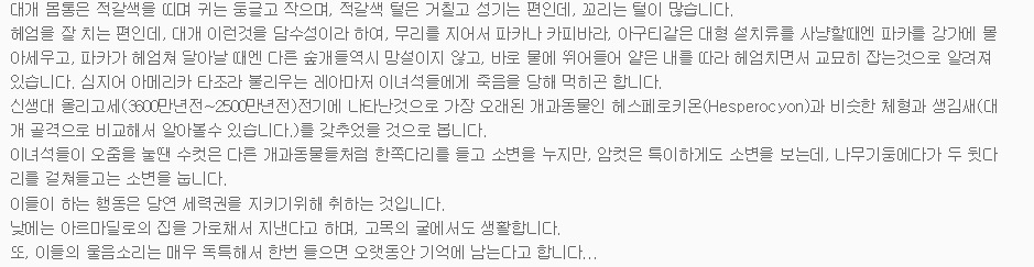  전 세계적으로 25마리 밖에 없는 초 레어 들개ㅡ 부시독 | 인스티즈