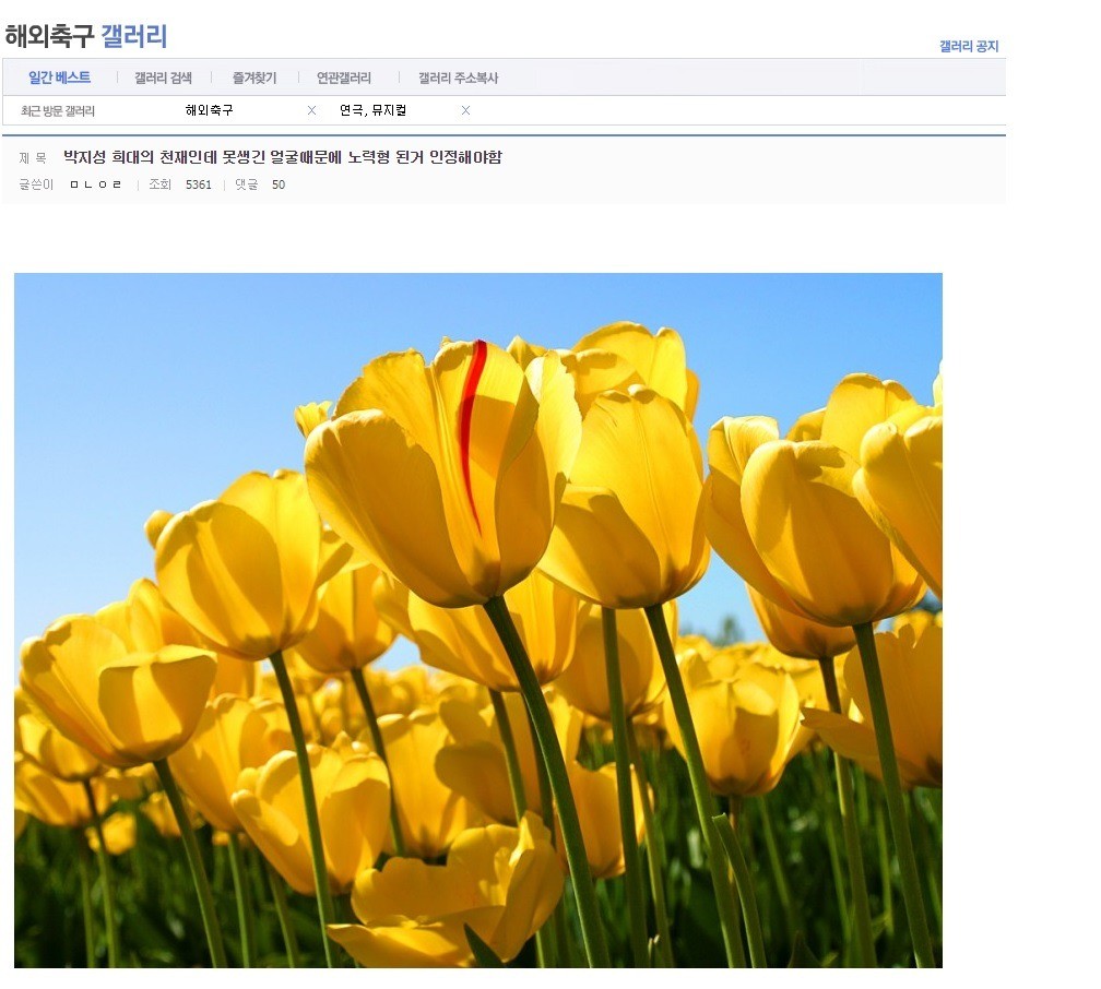 지금에서 생각해보면 이 사람은 진짜 천재가 아니었을까.swf | 인스티즈
