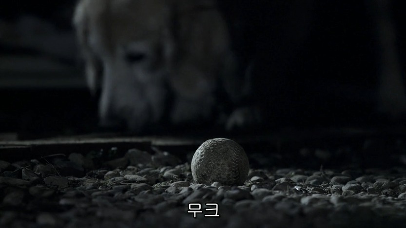 역대급으로 충격적이였던 어느 일본영화오프닝 .jpg | 인스티즈