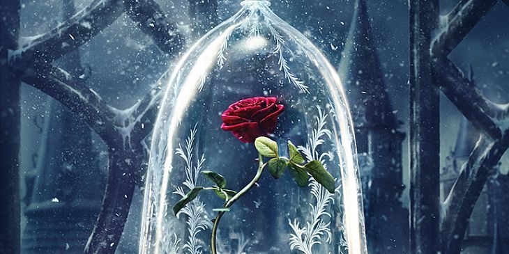 [고르기] Beauty And The Beast, 미녀와 야수의 주인공이 나라면, - 2 | 인스티즈