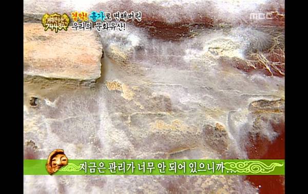 우리나라에 엄청난 파급력을 보여준 mbc 예능 프로그램 | 인스티즈