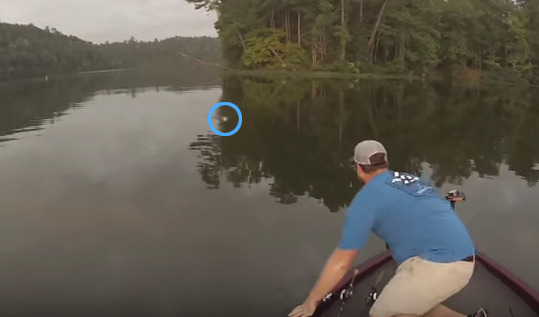 강물에서 고양이를 낚시한 사람 | 인스티즈