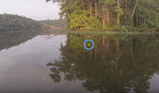 강물에서 고양이를 낚시한 사람 | 인스티즈