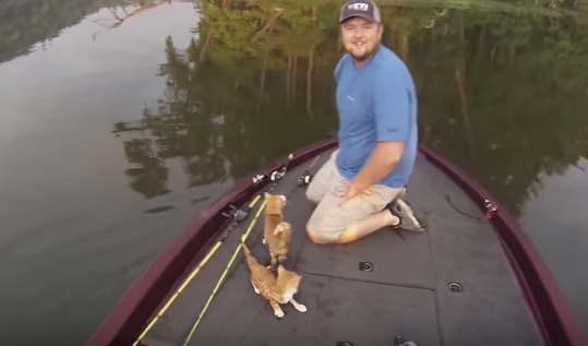 강물에서 고양이를 낚시한 사람 | 인스티즈