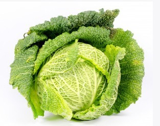 김구라 흉내내는 양배추 | 인스티즈