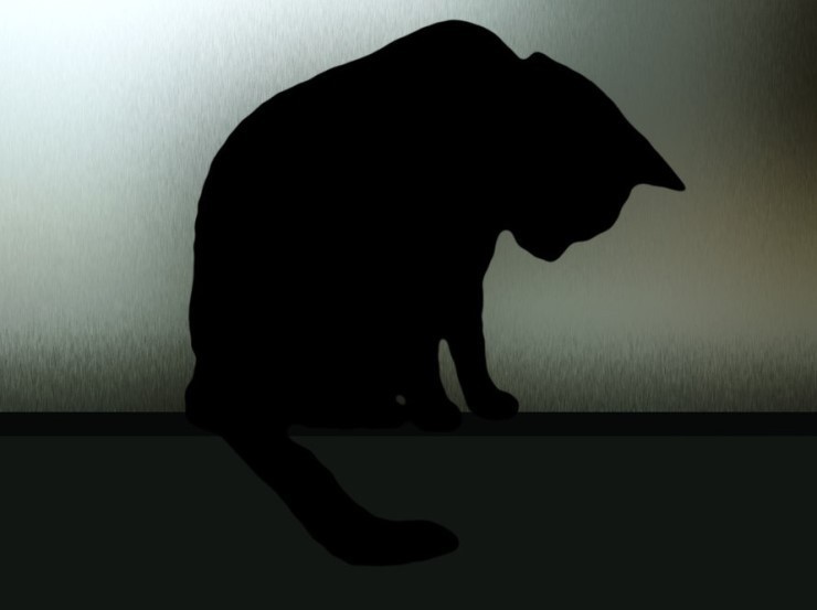 [이별노래] 10cm - 그러니까.swf | 인스티즈