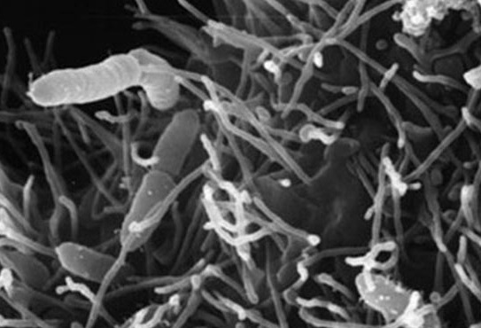  죽음 이후의 세계, 여태 언급된 저승의 종류.jpg | 인스티즈